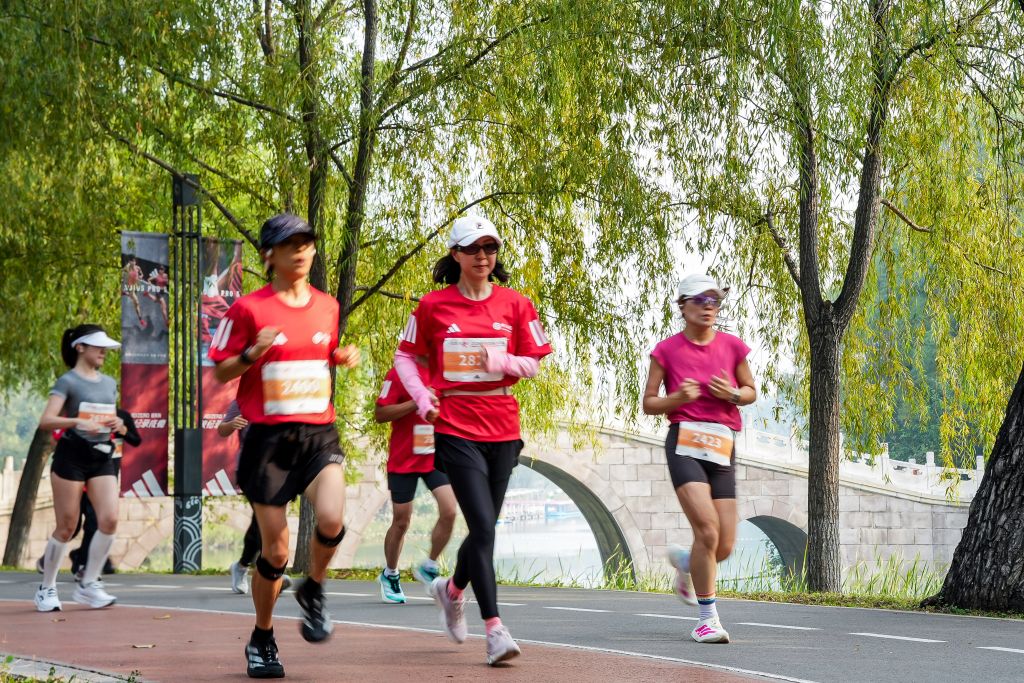 专业公海gh555000aa线路检测服务